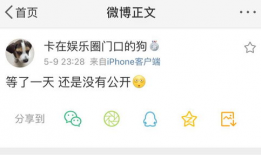 全网吃瓜爆料公众号是什么,揭秘娱乐圈幕后真相，带你走进明星生活！